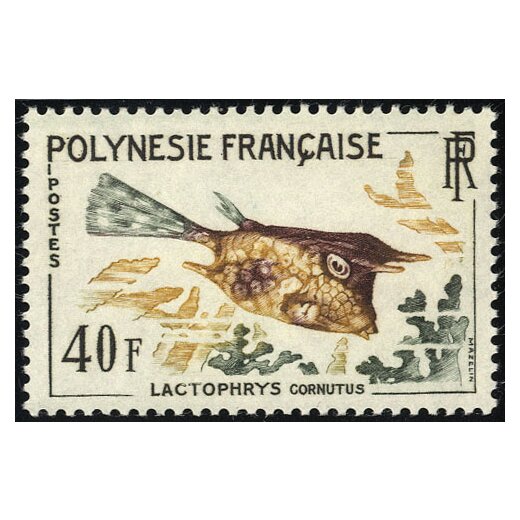 1962, Fische, 4 Werte (Mi. 24-27 / 37,-)