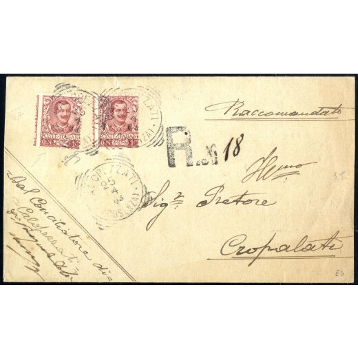 1903, Floreale, raccomandata da Calopezzati 25.4.1903 per Cropalati affrancata per 20 Cent. con due esemplari Sass. 71