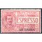 1906, Espresso, 25 Cent. rosa, gomma integra (Sass. E1 / 40,-)