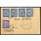 1949, cartoncino "Mazzo etichettato" affrancato per 45 L. segnatassa