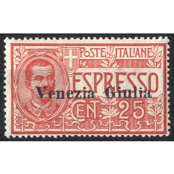 1918/19, Venezia Giulia, espressi, 25 Cent. rosso (S. E1...